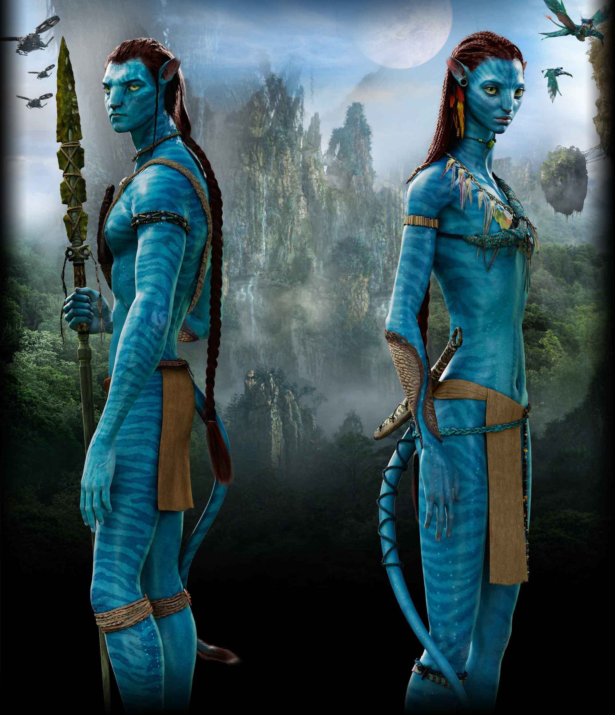 aaa